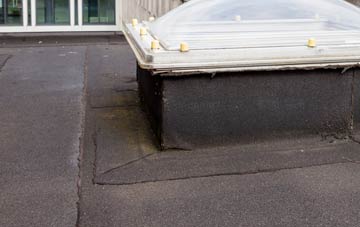 disadvantages of Great Shoddesden flat roofs