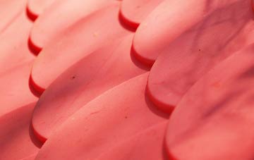 Great Shoddesden plastic roof costs